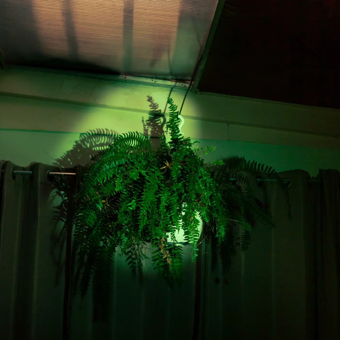 Samantha Zul - Imagen de concierto, presentación en vivo